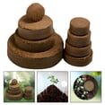 thumbnail image 7 of ZULAR 2026 New 10Pcs Organic Coco Coir Fiber Potting Soil Disks for Indoor Herb Garden Seed Starting Plant Nursery Hydroponic Growing Media Kit for Seed Starting,Herb Growing,Indoor Plants, 7 of 7