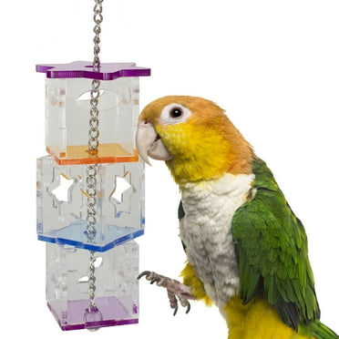 Super Bird Creations SB1206 Foraging Cubes Bird Toy - Interactive Bird Toy for Foraging Fun & Mental Stimulation - Parrots Ringnecks Medium Conures - Fillable with Treats - Ideal for Medium Bird Size