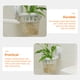 thumbnail image 5 of Macetas colgantes de pared de plástico para plantas acuáticas, para balcón, 5 of 8