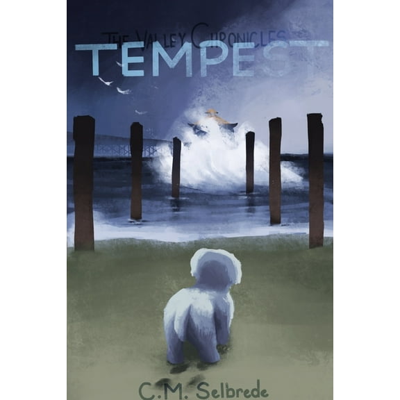 The Valley Chronicles: Tempest, (Paperback)