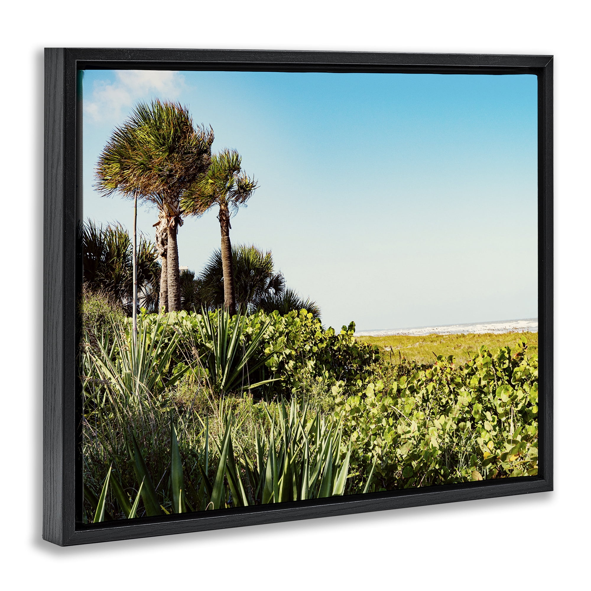 Stupell Industries Lush Tropical Shoreline Landscape Photography Black Floater Framed Canvas Art Print Wall Art, 21 x 17