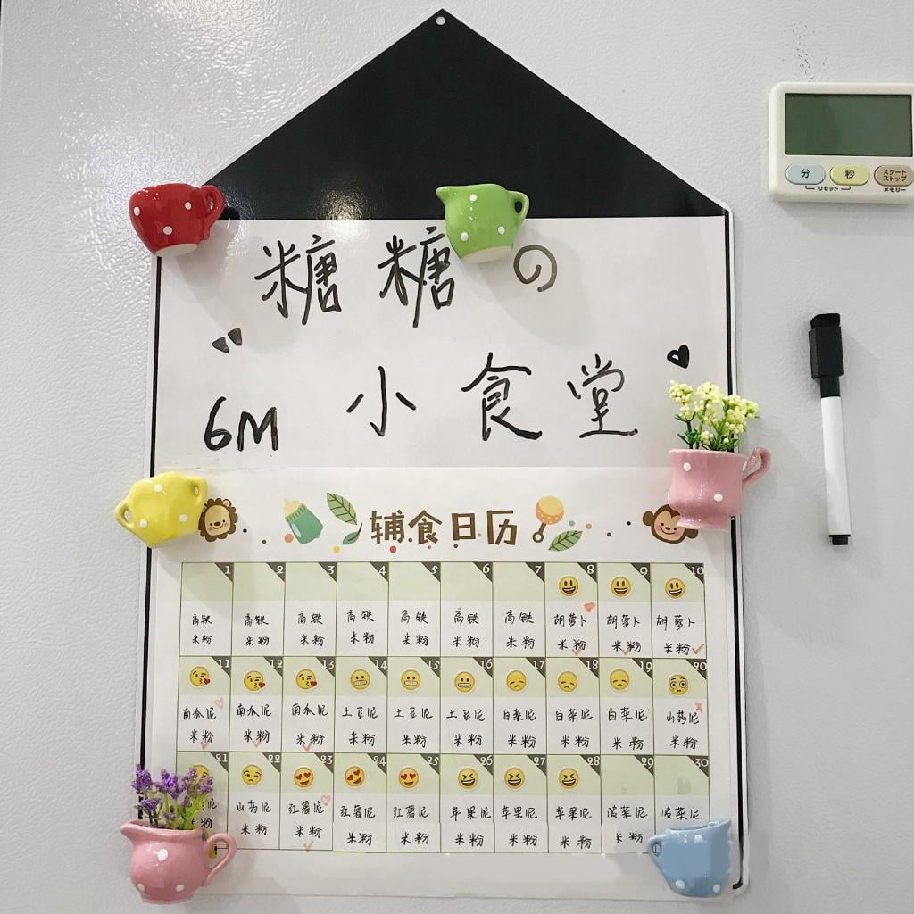 Rvaymup Set Of 8 Miniature Magnetic Flower Pot Kitchen Refrigerator Decors Resins Vase Fridge Magnets for Home Office Decoration