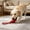 Red-1, variant on Dog Chew Ball Toy, Durable TPR Rubber, Textured Tooth Cleaning Design, Solid Elastic Fetch Ball for Dogs, Helps Reduce Anxiety, Red Blue Orange