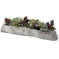 thumbnail image 3 of Uttermost Charita Contemporary Plastic Iron Cement Succulents in Green, 3 of 4
