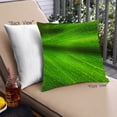 thumbnail image 1 of Ahgly Company Color Focus Green Coussin d'Extérieur, 18 Pouces par 18 Pouces, 1 of 6