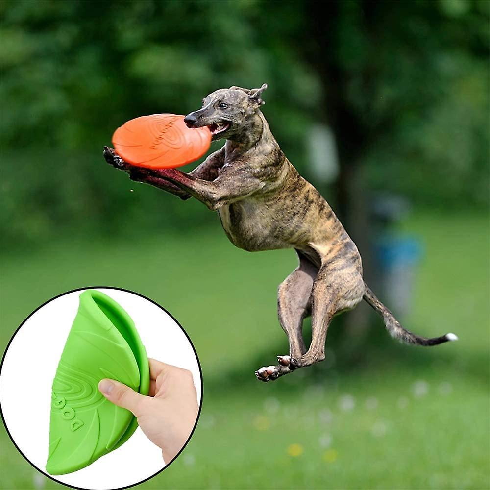 Dog frisbee walmart hotsell