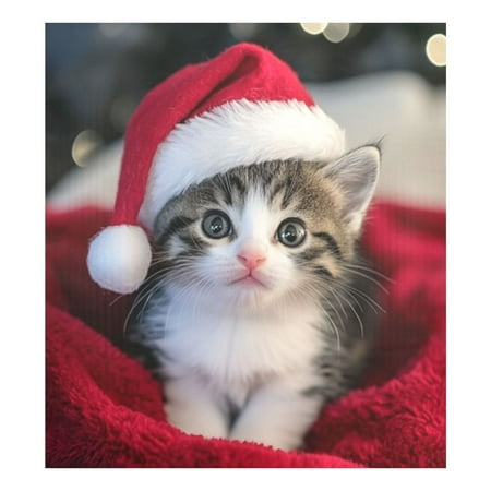

Dishwasher Magnetic Sticker 23x26 Inch Refrigerator Magnetic Sticker Washing Machine Magnetic Sticker Kitchen Panel Magnetic Sticker Home Decor Santa Hat Cat Picture