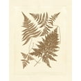 thumbnail image 2 of Vision Studio 26x32 Gold Ornate Wood Framed with Double Matting Museum Art Print Titled - Sepia Ferns VI, 2 of 4