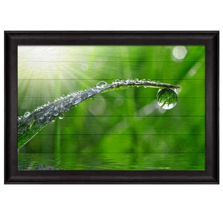 wall26 - Lone Leaf Covered in Rain Drops as The Sun Rays Illuminate It Over Wood Panels - Nature - Framed Art Prints, Home Decor - 24x36 (Best Way To Cover Wood Paneling)