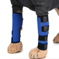 thumbnail image 3 of The Hind Leg Joint Wrap Protects The Wound While It Heals, Compresses The Wrap, 3 of 5