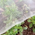 thumbnail image 1 of SHENMO Fine Mesh Garden Insect Netting: 3x5 Meters Silver, Butterfly Vegetable Protection Netting for Plants Fruits Carrot Fly Crop Protection Against Insect Pests, 1 of 5