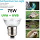 thumbnail image 1 of Taian 6 Pack 75w Uva+uvb Lámpara solar de espectro completo para tomar el sol/bombilla/luz para lagarto barbudo dragón camaleón serpiente tortuga acuario reptiles y anfibios, 1 of 2