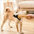 thumbnail image 5 of Tree Branch Dog Chews Pet Chewing Toys Real Wood Powder + PP Dog Interactive Toy Chewable Wood Sticks with Original Flavor (1pcs A), 5 of 6