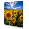 thumbnail image 2 of Designart "Spain Sunflower landscapes Heat Of Inland III" Floral Canvas Print, 2 of 5