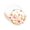 9In, variant on Fall Floral Disposable Paper Plates, for Autumn Themed Parties, Picnics, and Thanksgiving Celebrations 7In