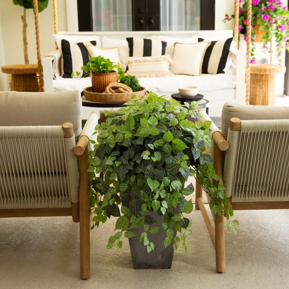 Nearly Natural UV Resistant Artificial Outdoor Fittonia Hanging Plant - 24" - Green - Set of 3