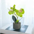 thumbnail image 4 of tredstone Artificial Orchid Flower & Pot Simulation Potted Flower Home Office Table Fake Floral Decor, JH1735, Green, 4 of 7