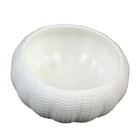 

Ceramic Bowl Kitchen Seasoning Bowl Caviar Storage Bowl Dipping Bowl Sea Urchin Bowl1pc Ceramic Kitchen Seasoning Bowl Caviar Storage Bowl Dipping Bowl Sea Urchin Bowl