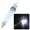 WhiteL, variant on UDIYO Mini Underwater Outdoor Night Fishing Light LED Fish Attracting Lure Bait Lamp