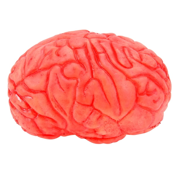 Órgano falso aterrador de Halloween, cerebro humano, partes del cuerpo para accesorios de fiesta de Halloween