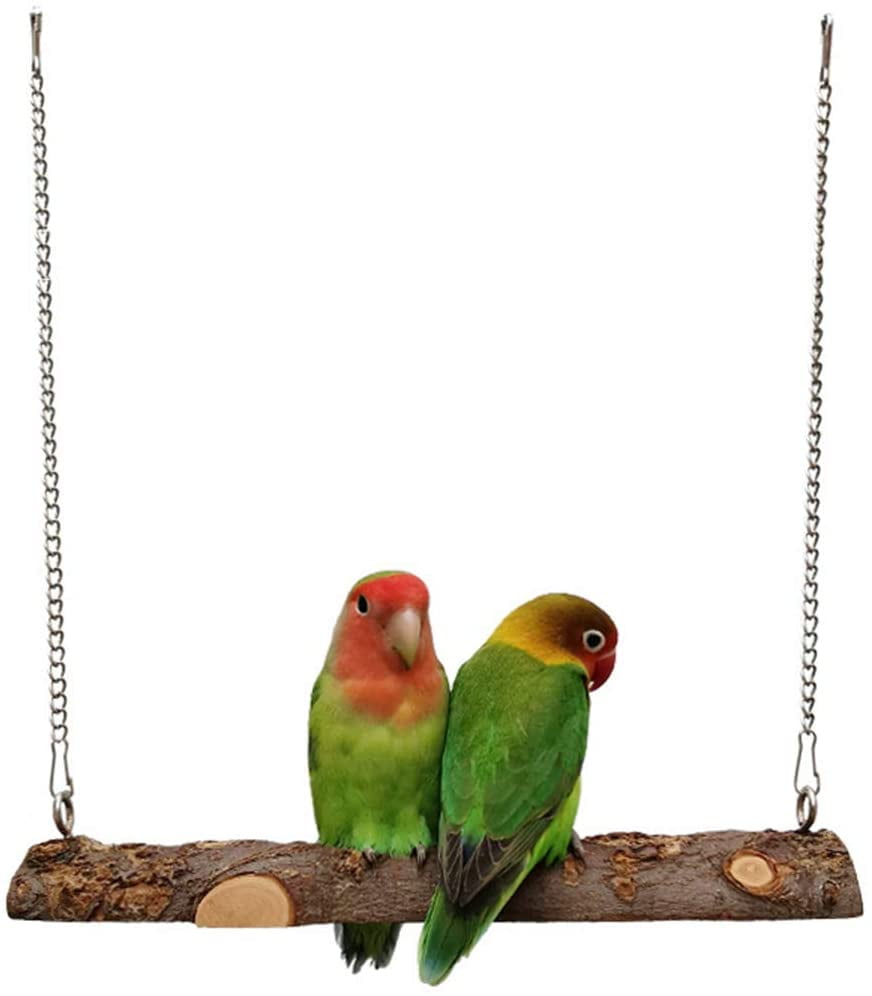 swings for parakeets