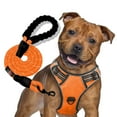 thumbnail image 3 of Reflective Harness, 3 of 42