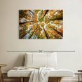 thumbnail image 2 of Elephant Stock Larvik Norway Autumn Forest Wall Art - Horizontal Canvas Wall Art - Living Room Wall Decor - Nature Canvas - Brown And Orange Decor - 39" x 26", 2 of 8