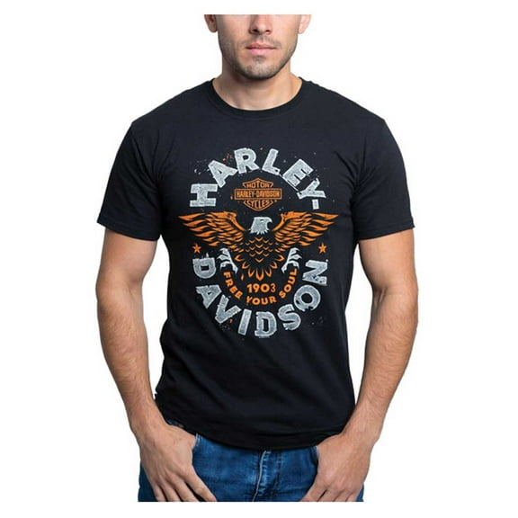 Harley-Davidson Men's Likable Short Sleeve Cotton Crew-Neck T-Shirt (S), Harley Davidson