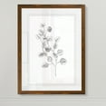 thumbnail image 3 of Eucalyptus Sketch IV - Barnwood Framed - 18 x 24 - Maple, 3 of 4