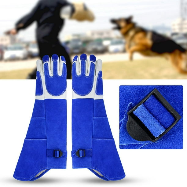 Gloves sales for dogs
