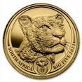 thumbnail image 2 of 2023 South Africa 2-Coin Gold Big Five Leopard Proof Set, 2 of 4