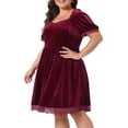 thumbnail image 2 of DARING DIVA Plus Size Velvet Lace Trim Short Sleeve Party Dress 1X Burgundy, 2 of 6