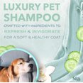 thumbnail image 2 of SPA by TropiClean Fresh Shampoo for Pets, 16oz, Made in USA, 2 of 2