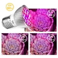 thumbnail image 4 of Lámpara de crecimiento LED Disipación de calor Espectro completo UV IR LED Bombilla de crecimiento para interiores Tmvgtek Para estrenar, 4 of 9