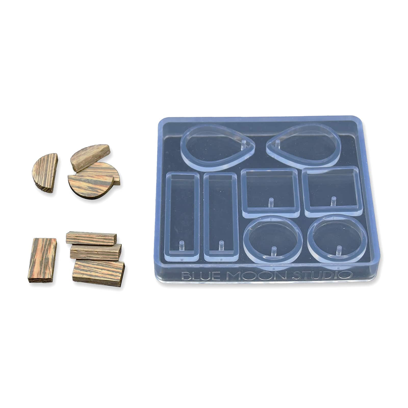 Blue Moon Studio UV Resin Craft Earring Charm Silicone Mold Kit, 12 Pack