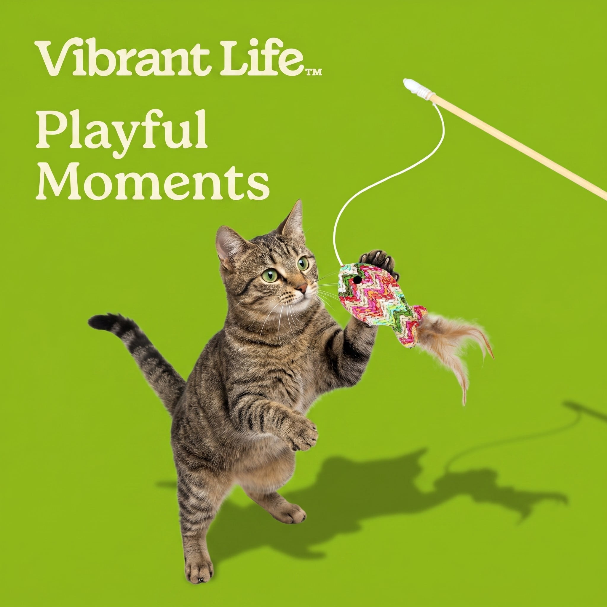 (2 pack) Vibrant Life Natural Fish Teaser Wand Cat Toy with Catnip, 18"