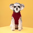 thumbnail image 5 of Suéter clásico con cuello alto acolchado y solapa de lana para mascotas, de color sólido, cálido, para perros y gatos, para otoño e invierno, 5 of 5