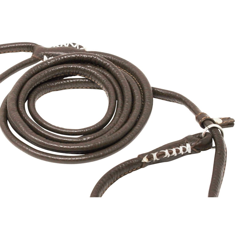 Rolled leather 2025 dog lead