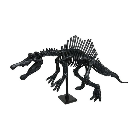 LYWC Urban Cowhide-328 Long Sleeve Shirts For Women Oversized Tshirts Tops Tees Fall T-Shirts V Neck