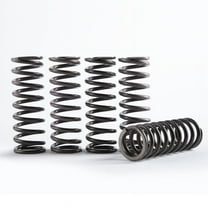 Hinson Hi-Temp Clutch Spring Kit 5 Springs (CS264-5-0409)