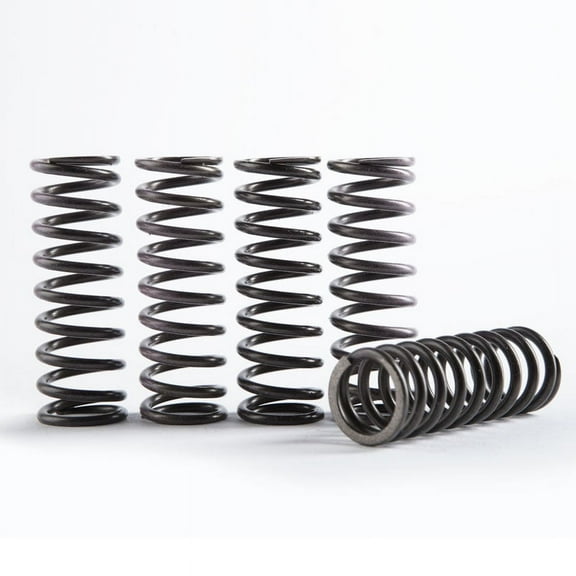 Hinson Hi-Temp Clutch Spring Kit 5 Springs (CS341-5-0311)