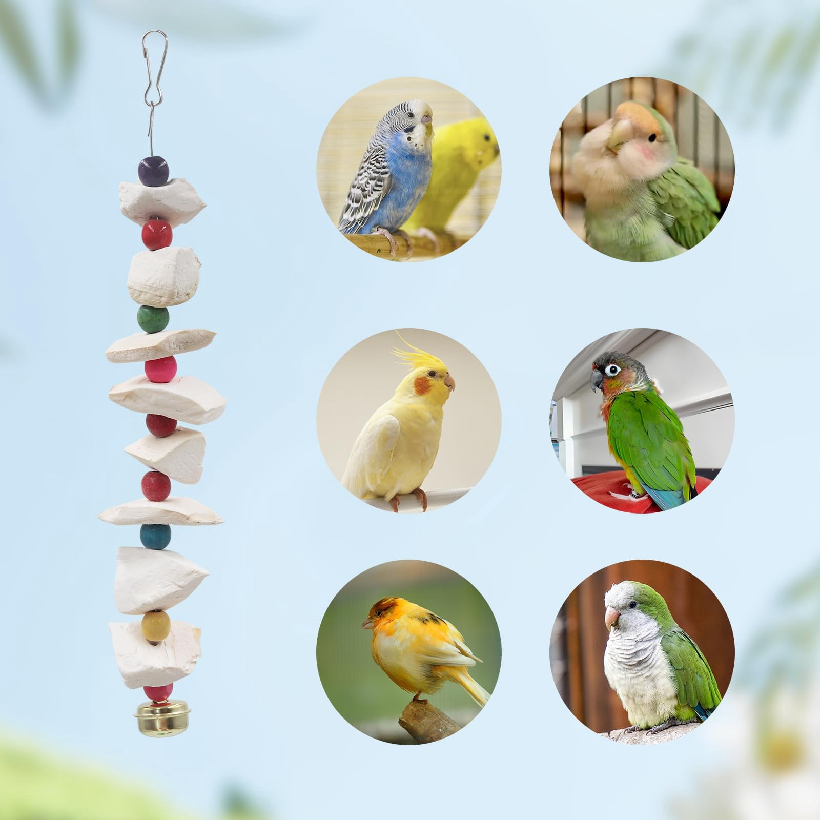 Trianu 4Pcs Bird Cuttlebone Chew Toy, Natural Calcium Cuddle Bone Sharp Beaks Cage Toy for Parrot Budgie Conure Cockatiel