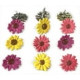 thumbnail image 1 of Salida de ojal Eyelet Outlet QBRD2-210, 1 of 1
