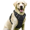 thumbnail image 1 of rabbitgoo Dog Harness  No-Pull Pet Harness with 2 Leash Clips  Adjustable Soft Padded Dog Vest  Reflective No-Choke Pet Oxford Vest with Easy Control Handle for Small Dogs  Beige  XS, 1 of 9