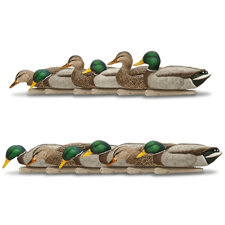 Avian X Topflight Fusion Mallards and Topflight Backwater Mallards Decoys