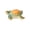 Green-GN-home supplies, variant on LEFTHIGH Home Miniature Turtle Ornament Resin Aquarium Decor Glow in The Dark Little Figurine for DIY Fish Tank Landscape 1.38in 1 Piece Home Decor