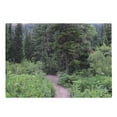 thumbnail image 1 of Landscape Cutting Board, Wild Trees Landscape Photography Walkway to Forest Calm Weekend Getaways Scenery, Decorative Tempered Glass Cutting and Serving Board, in 3 Sizes, by Ambesonne, 1 of 2