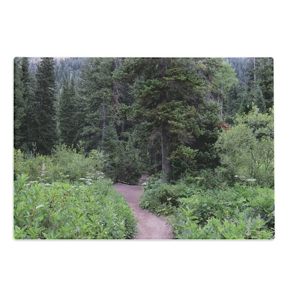 Landscape Cutting Board, Wild Trees Landscape Photography Walkway to Forest Calm Weekend Getaways Scenery, Decorative Tempered Glass Cutting and Serving Board, in 3 Sizes, by Ambesonne