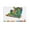 Unframe-style, variant on Eric Carle Posters Children's Picture Book Painting On Canvas Wall Art Poster Scroll Picture Print Living Room Walls Decor Home Posters 16x24inch(40x60cm)