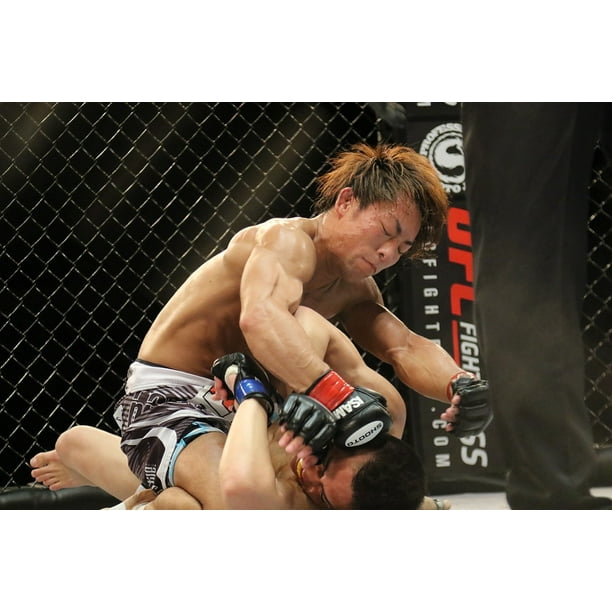 Canvas Print Mixed Martial Arts Japan Mma Cage Tokyo Japao Stretched Canvas 10 X 14 Walmart Com Walmart Com